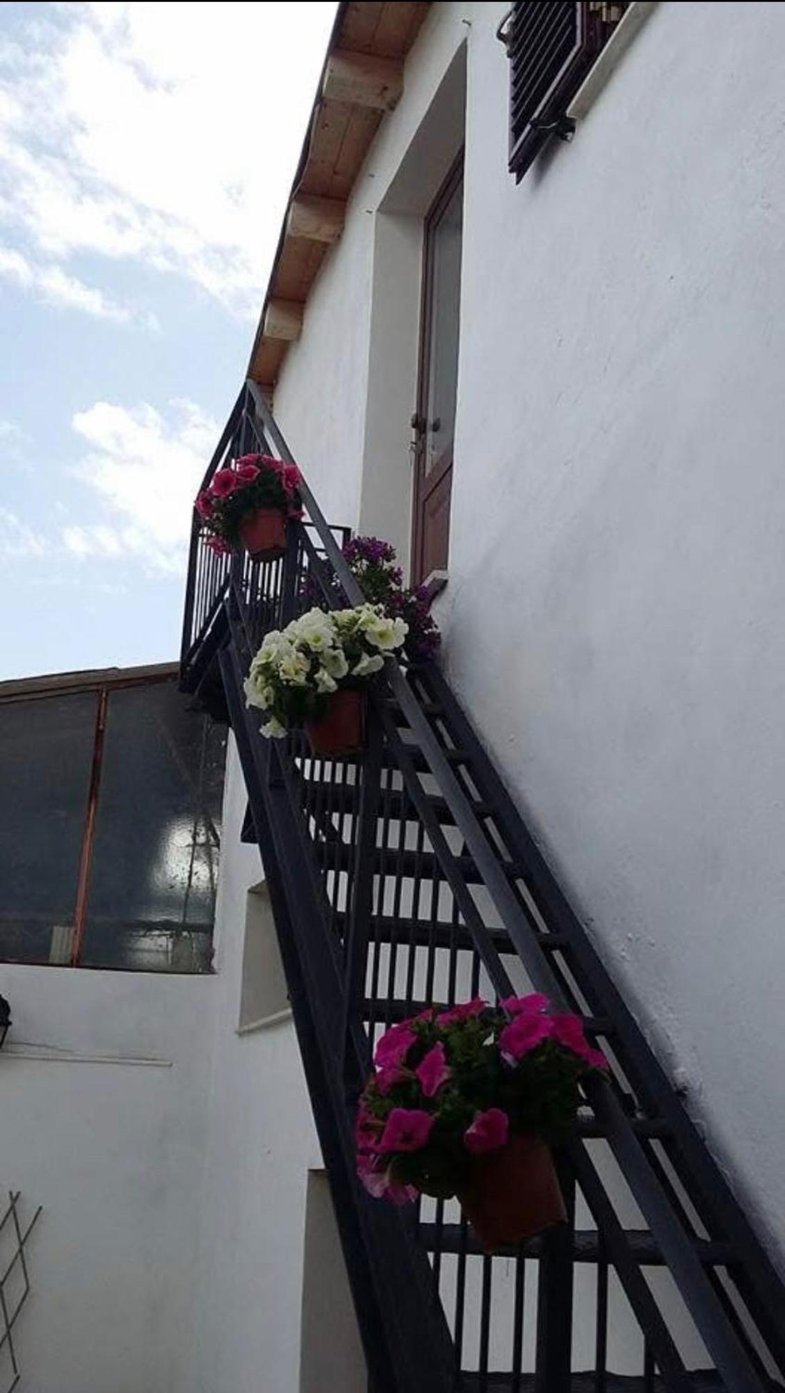 U Pantanu Apartman Szirakúza Kültér fotó